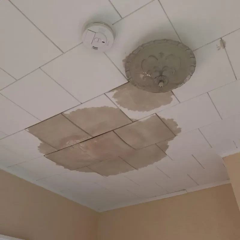Ceiling Water Damage Repair in Jean Lafitte, LA